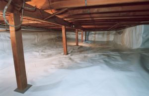 Maintaining Damp-Free Basement is Possible with Moisture Resistant Paneling?