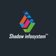 shadow infosystem